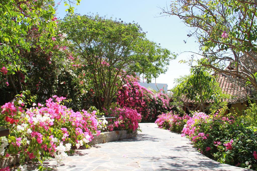 Poshanu Boutique Resort Παν Θιέτ Εξωτερικό φωτογραφία